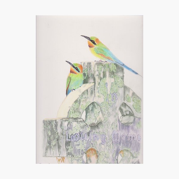 Item preview, Two Rainbow Beeaters blending nicely on the mossy headstone designed and sold by SandraAnimalArt.