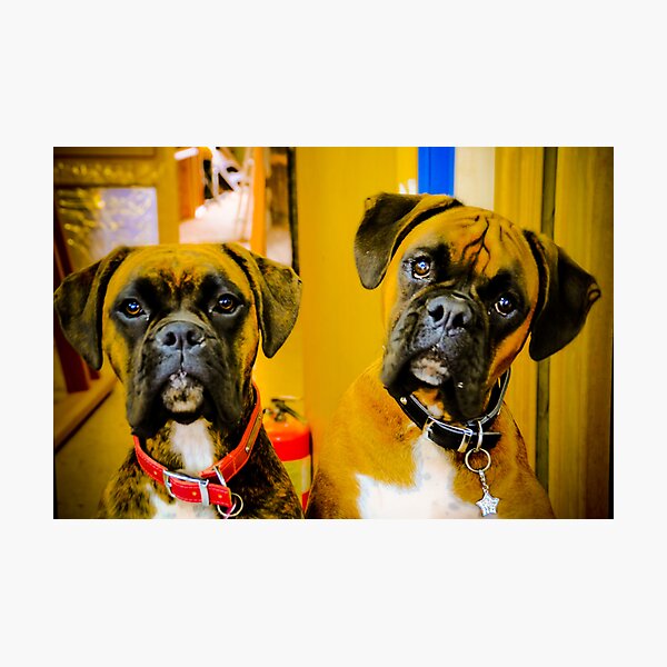 Artikelvorschau, Can we help you? entworfen und verkauft von Pat Shawyer.