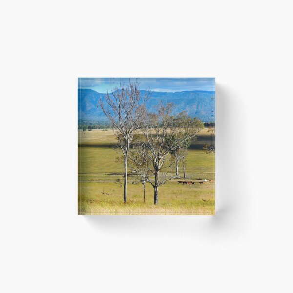 Item preview,  CATTLE STATION LANDSCAPES, KANGAROOS designed and sold by Barbara Jean Photo Art And Design.