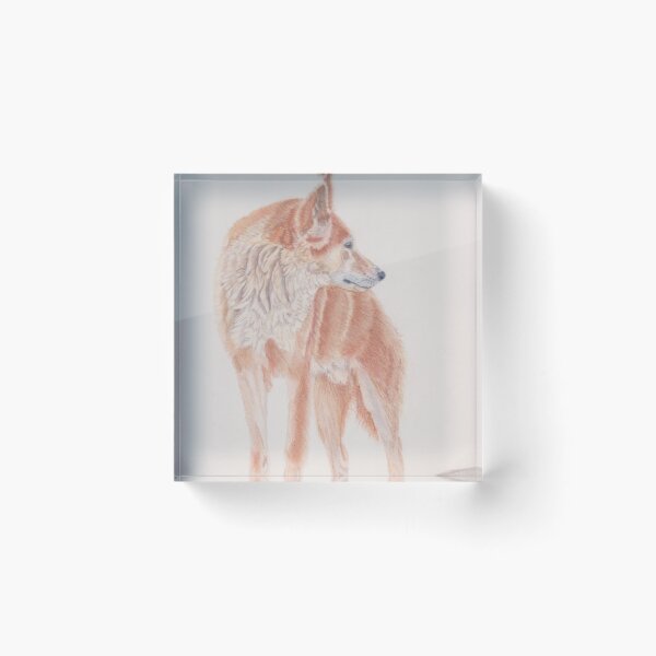 Item preview, An Australian Dingo designed and sold by SandraAnimalArt.