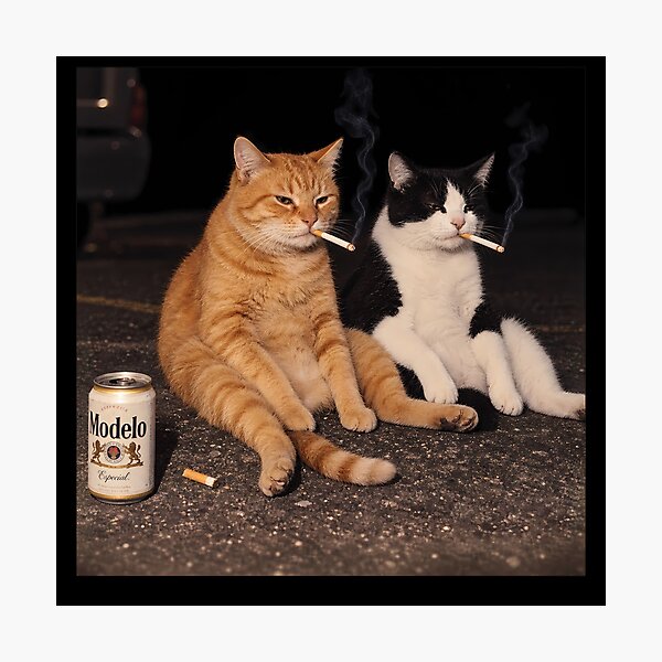 Artikelvorschau, Rauchende Katzen entworfen und verkauft von Eddiepublic.