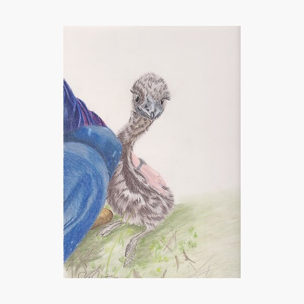 Item preview, Baby Emu with its carer designed and sold by SandraAnimalArt.
