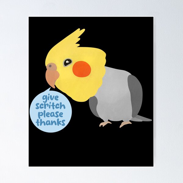 Item preview, Give Scritch Please Thanks Cockatiel Funny illustration designed and sold by FandomizedRose.