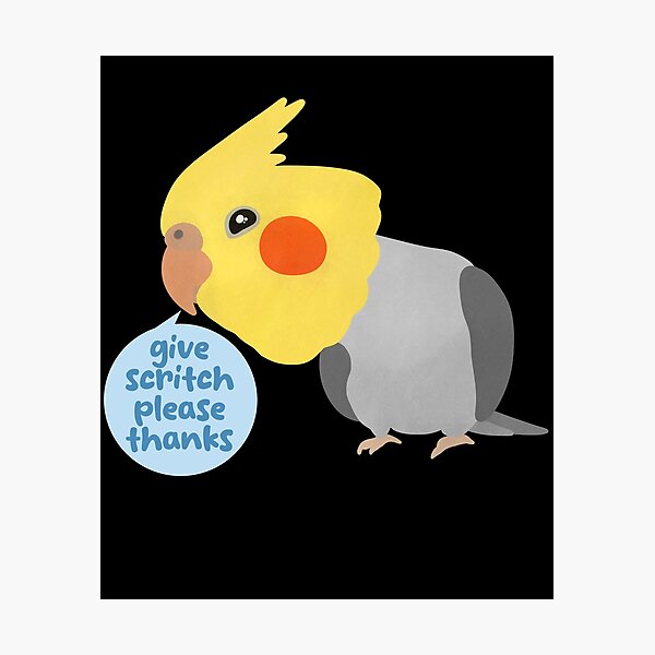 Item preview, Give Scritch Please Thanks Cockatiel Funny illustration designed and sold by FandomizedRose.
