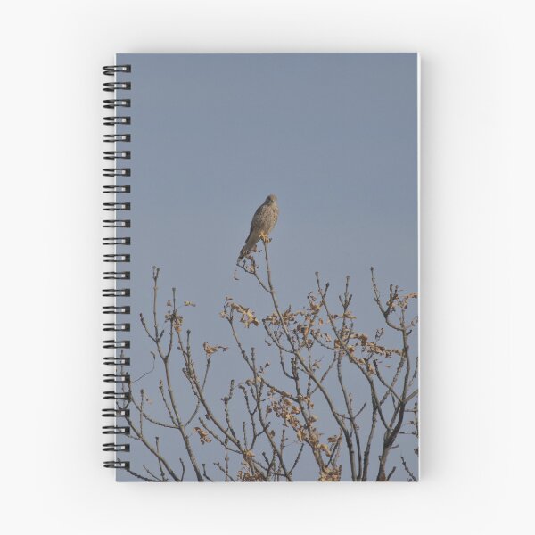 Item preview, Frozen reality - Beautiful nature 1117 designed and sold by deep-sea-birds.