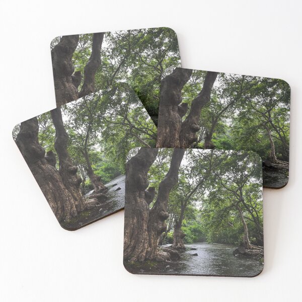 Item preview, Coffee El Diamante del Cielo Bean Heritage designed and sold by ilhsoebi.