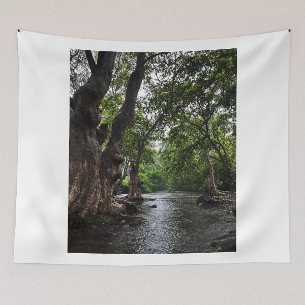 Item preview, Coffee El Diamante del Cielo Bean Heritage designed and sold by ilhsoebi.