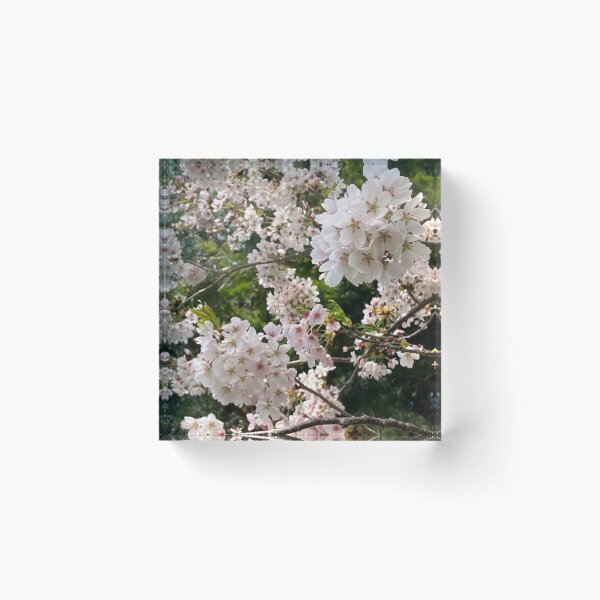 Item preview, Relaxing Associazione Guide e Scout Cattolici Italiani AGESCI aCoffee Atmosphere designed and sold by ilhsoebi.