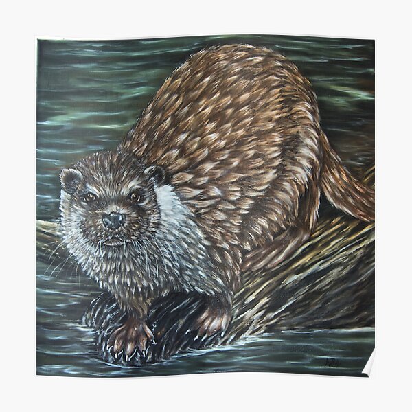 "European Otter" - Oil Painting Poster