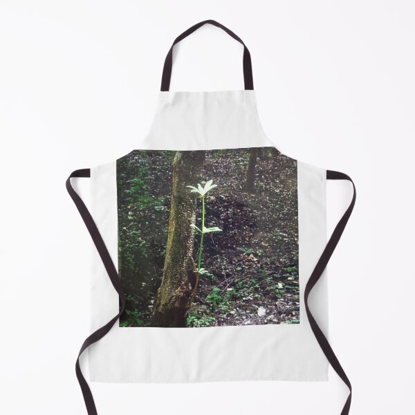 Item preview, Young Sapling in Dense Forest designed and sold by Nicholasgaoes.
