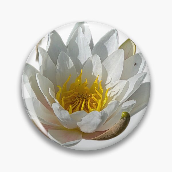 Item preview, Lily Pad designed and sold by Shoreline Photography .