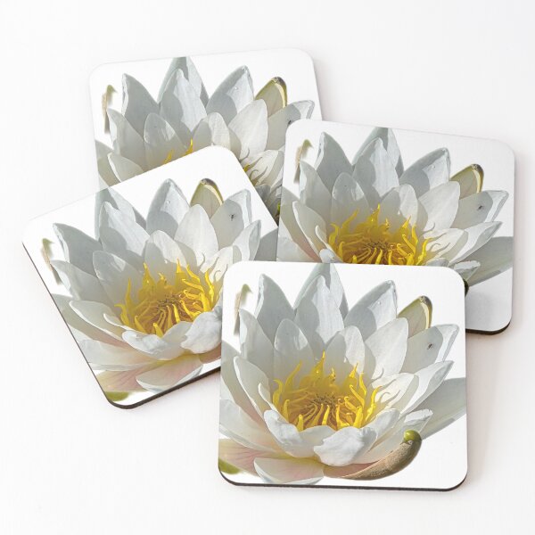 Item preview, Lily Pad designed and sold by Shoreline Photography .