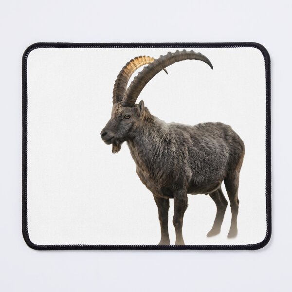 Item preview, Alpine Ibex – Majestic Mountain Portrait designed and sold by Helt-enkelt.