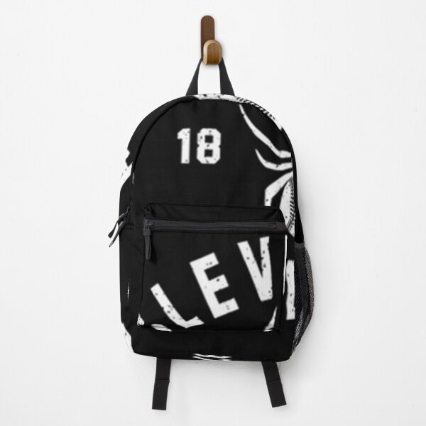 Item preview, Cleveland Spiders 1887  designed and sold by NH-CREATIONS.