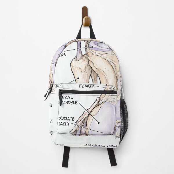 Item preview, Anatomy Knee Joint Physical Therapy Sticker designed and sold by isokinetic.