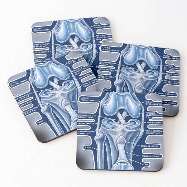 Item preview, Anatomy Knee Joint Blueprint Physical Therapy Sticker designed and sold by isokinetic.