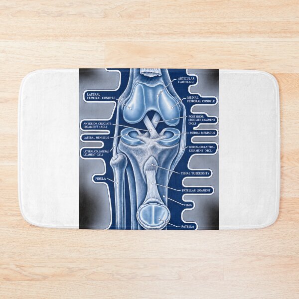 Item preview, Anatomy Knee Joint Blueprint Physical Therapy Sticker designed and sold by isokinetic.