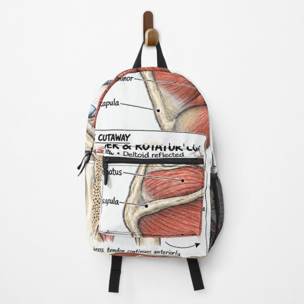 Item preview, Anatomy Shoulder Rotator Cuff Physical Therapy Sticker designed and sold by isokinetic.