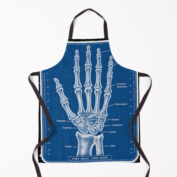 Item preview, Anatomy Hand Bones Blueprint Physical Therapy Sticker designed and sold by isokinetic.