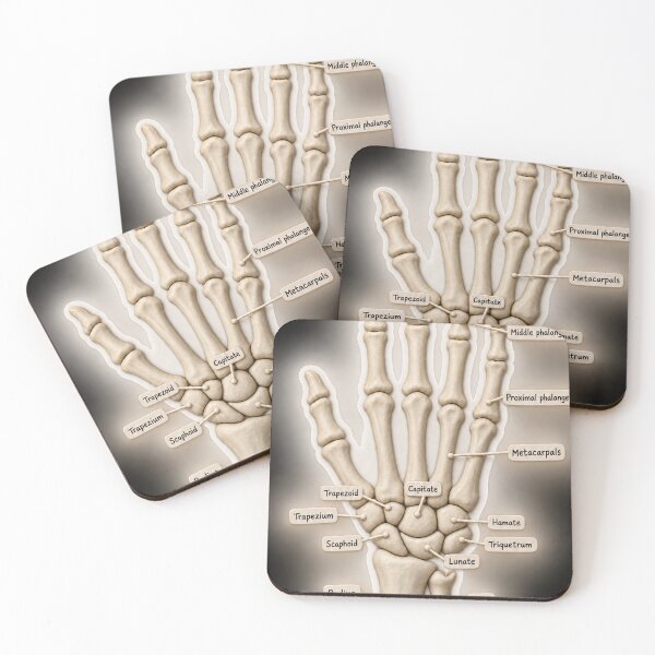 Item preview, Anatomy Hand Bones Claymation Physical Therapy Sticker designed and sold by isokinetic.