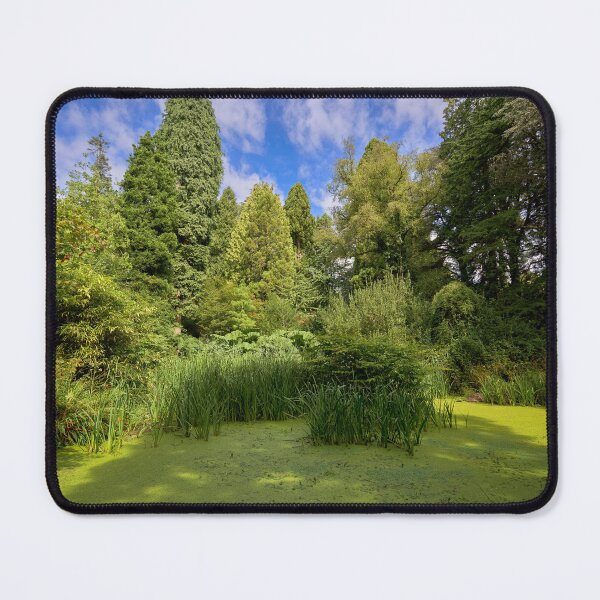 Item preview, Cefn Onn Pond, Cardiff, Summer Serenity designed and sold by VnGphoto.