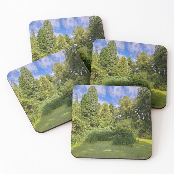 Item preview, Cefn Onn Pond, Cardiff, Summer Serenity designed and sold by VnGphoto.
