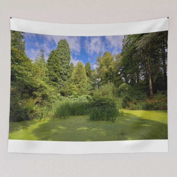 Item preview, Cefn Onn Pond, Cardiff, Summer Serenity designed and sold by VnGphoto.