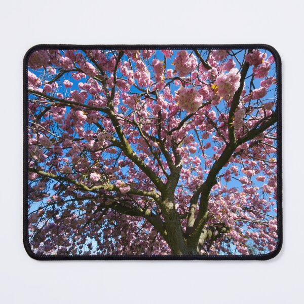 Item preview, The Stray Blossom Harrogate designed and sold by Alisonchambers2.