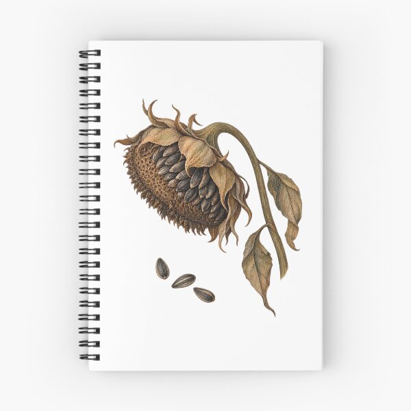Item preview, Dried Garden Seed Head designed and sold by GoverArt.