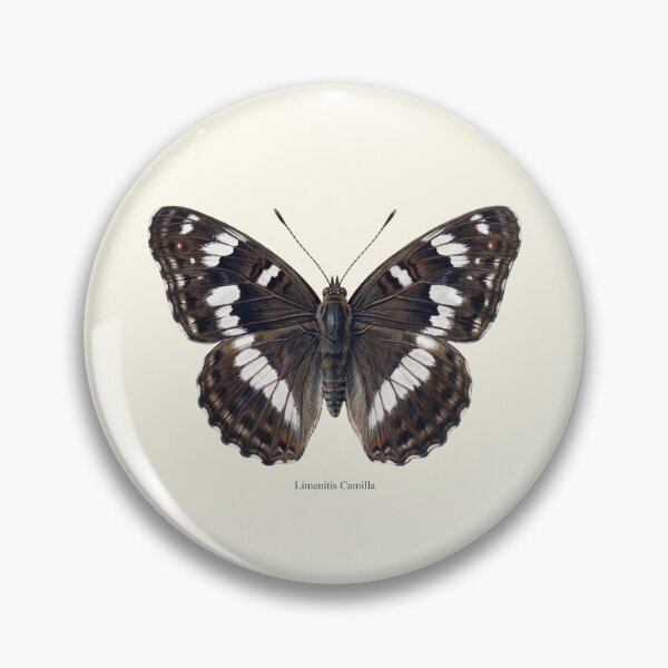 Item preview, White Admiral: Limenitis Camilla Entomological Butterfly Art designed and sold by FreiherrPK.