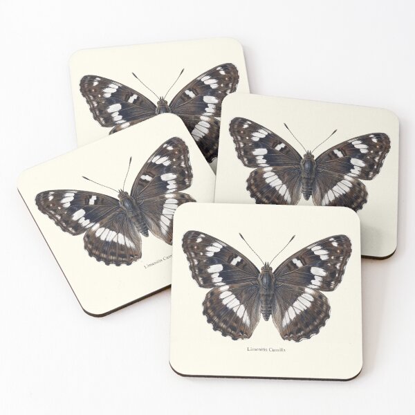 Item preview, White Admiral: Limenitis Camilla Entomological Butterfly Art designed and sold by FreiherrPK.