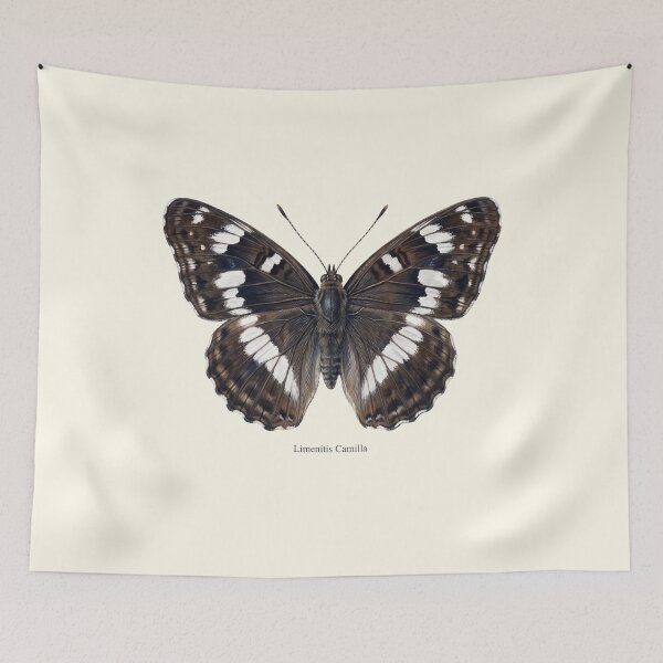 Item preview, White Admiral: Limenitis Camilla Entomological Butterfly Art designed and sold by FreiherrPK.