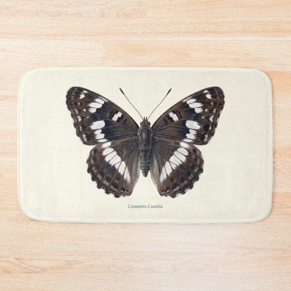 Item preview, White Admiral: Limenitis Camilla Entomological Butterfly Art designed and sold by FreiherrPK.