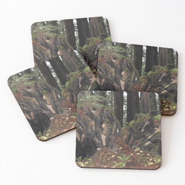 Item preview, Redwood forest designed and sold by KentuckyRed.