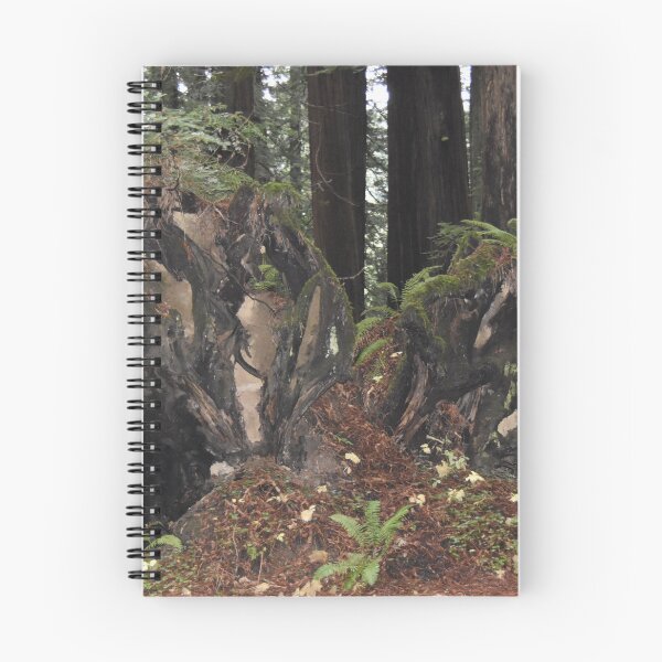 Item preview, Redwood forest designed and sold by KentuckyRed.