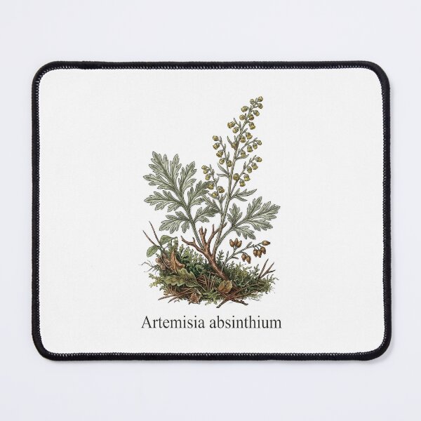 Item preview, Artemisia Absinthium Wormwood Vintage Botanical designed and sold by Sekla-Studio.