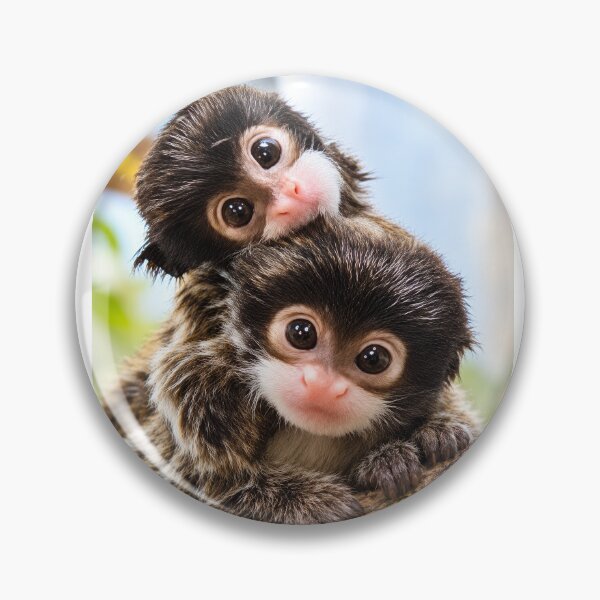 Item preview, Adorable Baby Marmosets designed and sold by Marina Langer Wildlife Art..
