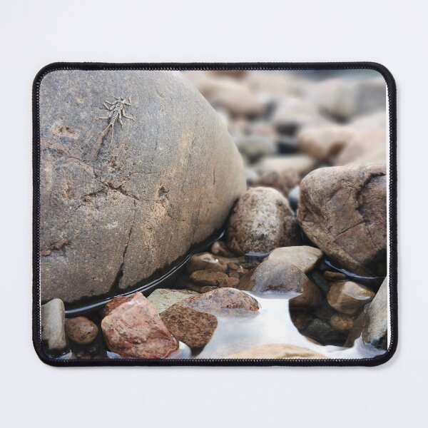 Item preview, Critter on the Rocks designed and sold by MorvalDesigns.