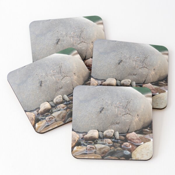 Item preview, Double Critter on the Rocks designed and sold by MorvalDesigns.