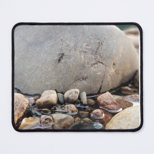 Item preview, Double Critter on the Rocks designed and sold by MorvalDesigns.