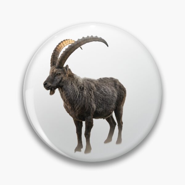 Item preview, Alpine Ibex – Majestic Mountain Portrait designed and sold by Helt-enkelt.