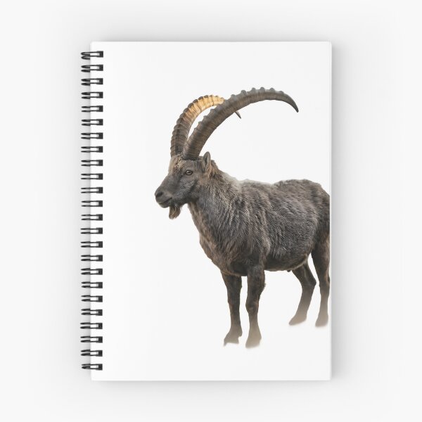 Item preview, Alpine Ibex – Majestic Mountain Portrait designed and sold by Helt-enkelt.