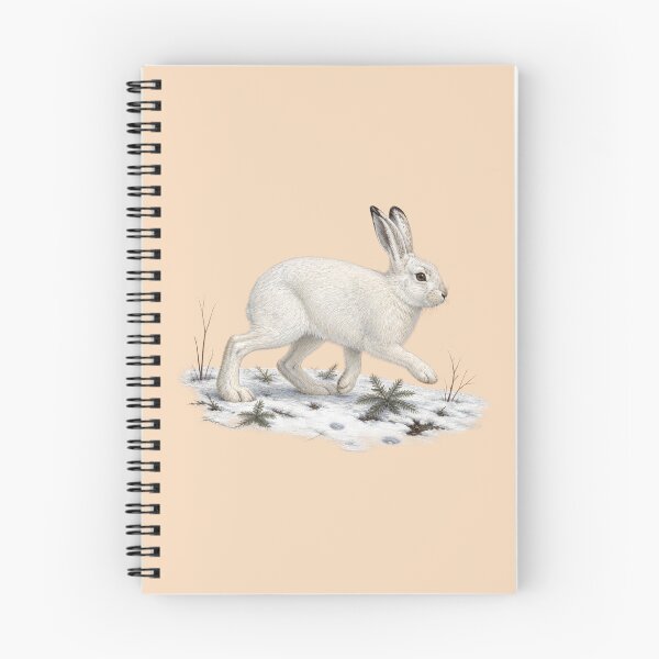Item preview, Snowshoe Hare Winter Naturalist Study designed and sold by BloomStudio1.