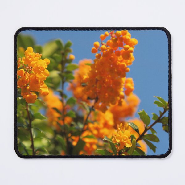 Item preview, Spring bloom designed and sold by RIVER FLORA .
