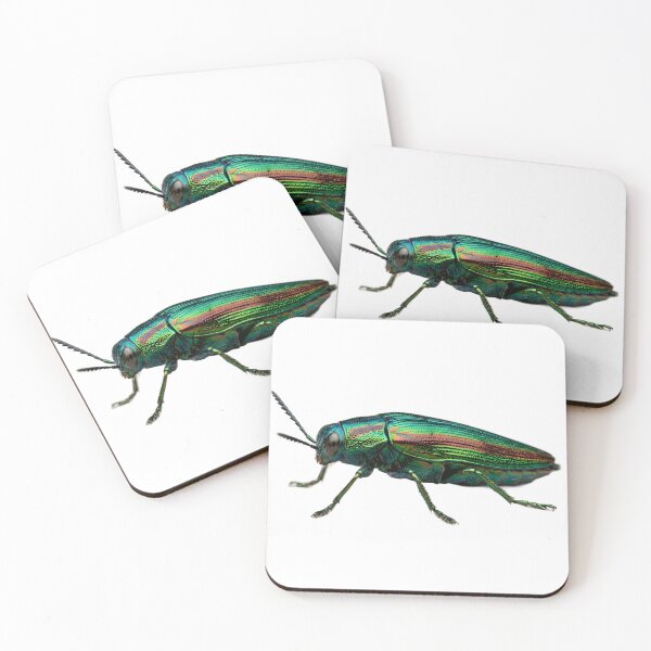 Item preview, Jewel Beetle – Iridescent Rainbow Portrait designed and sold by Helt-enkelt.
