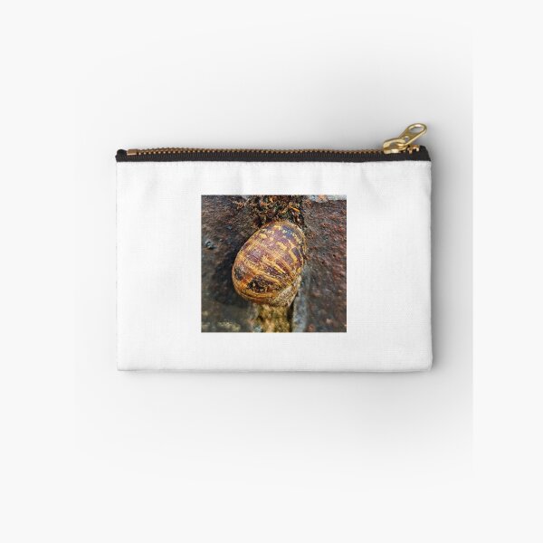 Item preview, LondonE14 Snail designed and sold by ManOlio.