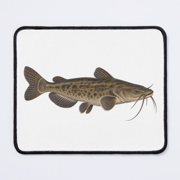 Item preview, Flathead Catfish designed and sold by TJT-GRAPHIX.