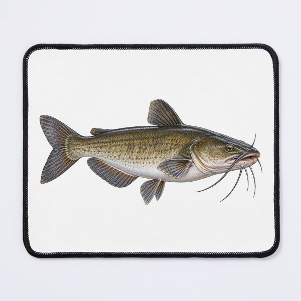 Item preview, Channel Cat Catfish designed and sold by TJT-GRAPHIX.