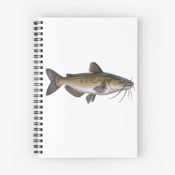 Item preview, Channel Cat Catfish  designed and sold by TJT-GRAPHIX.