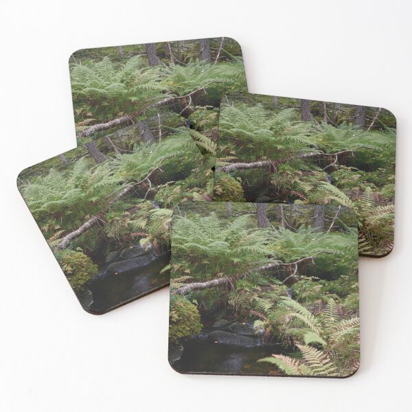 Item preview, Ferns. Julma Olkky designed and sold by Jouko Lehto Photography.
